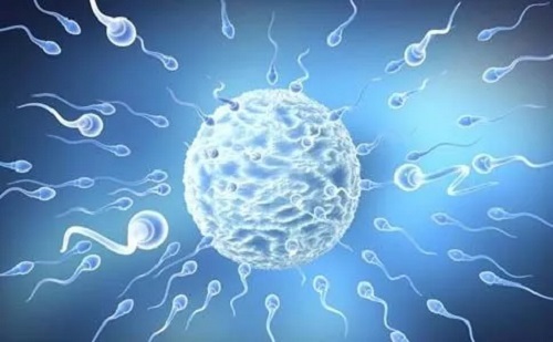 該怎樣做試管嬰兒？移植后的胚胎寶寶喜歡這樣的準媽媽