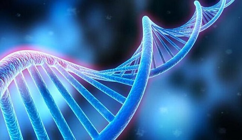 詳細分析福州第三代試管嬰兒醫(yī)院排名