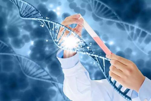 赴泰生孩子費用多少？據說比國內高？
