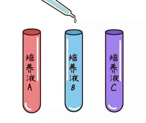 赴泰生子過程需要注意的事項是什么？