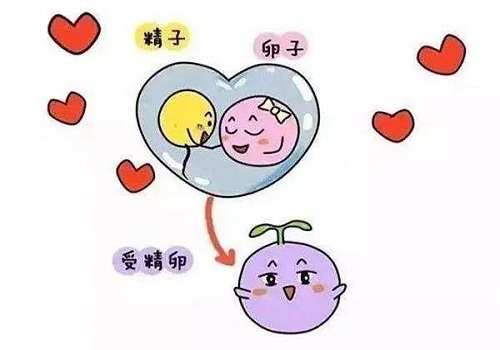 試管過(guò)程中為什么會(huì)有人吃避孕藥呢？