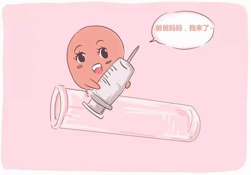 試管嬰兒的過程步驟是什么？需要注意哪些問題？