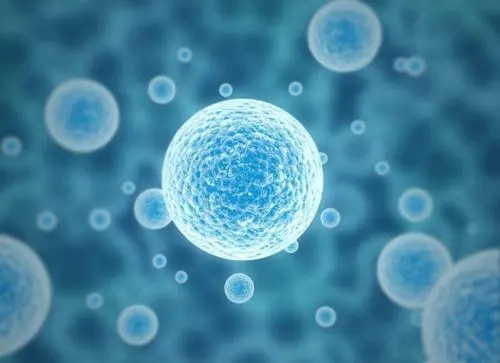 試管移植后如何在短時間知道著床成功