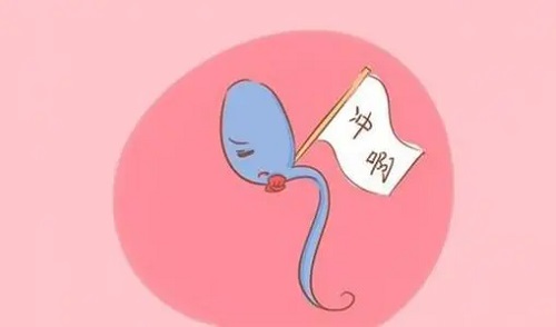 2021試管嬰兒成功率,國內(nèi)的多少?