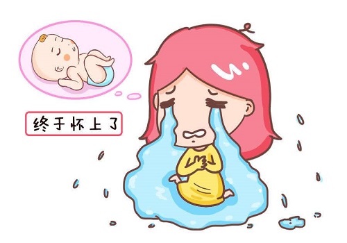 試管嬰兒，女性子宮也可以將DNA遺傳給后代？